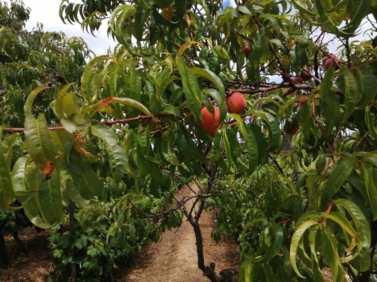 Вилла Quinta Lugar Da Veiga Winery Guiaes Экстерьер фото
