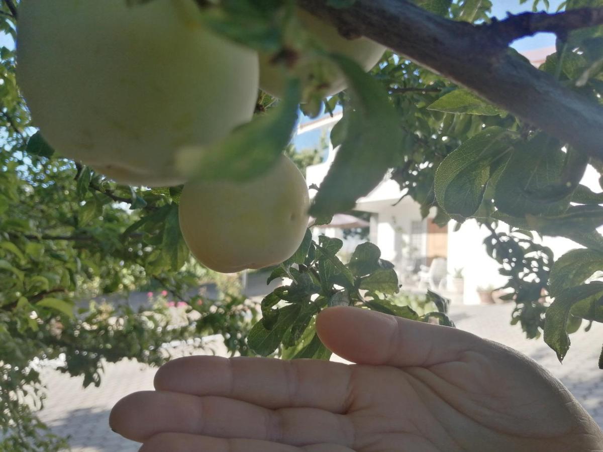 Вилла Quinta Lugar Da Veiga Winery Guiaes Экстерьер фото