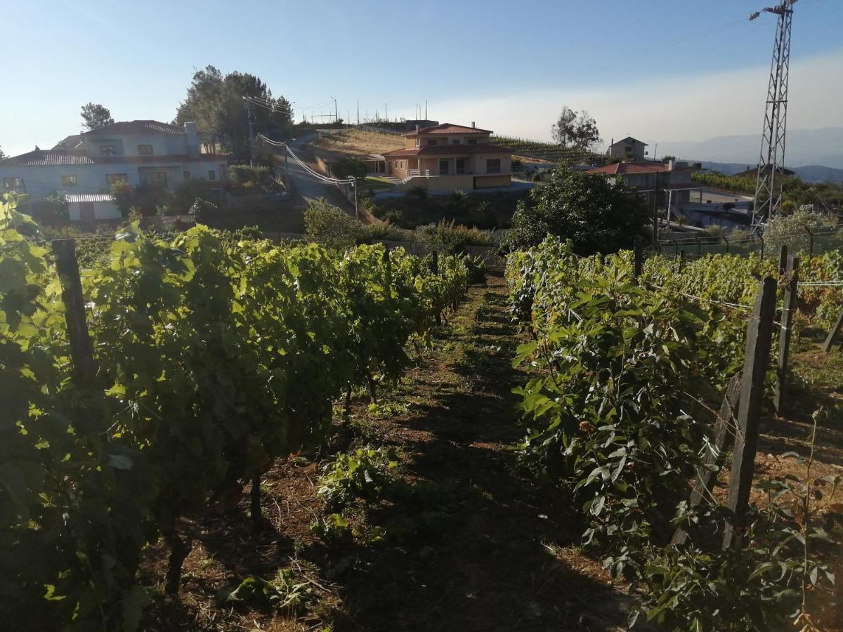 Вилла Quinta Lugar Da Veiga Winery Guiaes Экстерьер фото