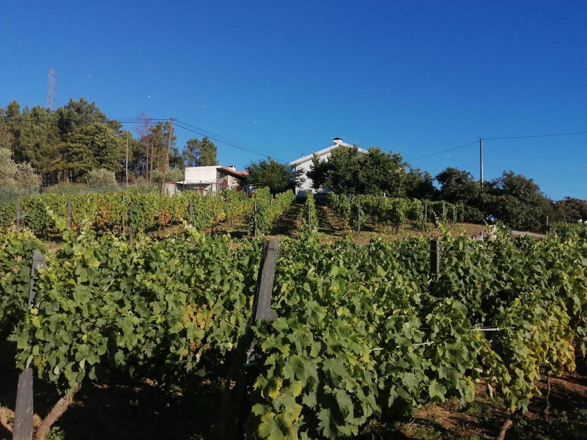 Вилла Quinta Lugar Da Veiga Winery Guiaes Экстерьер фото